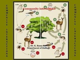 Building Authentic Engagement through Community interaction