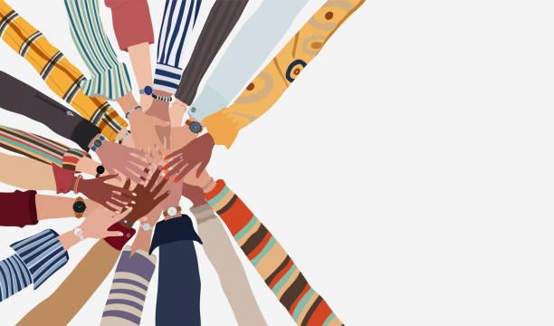 Leveraging Community Insights: The Power of Feedback and Interaction