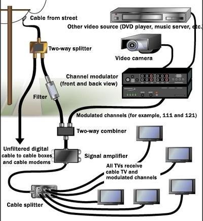 Optimizing Video Distribution for Broader Reach