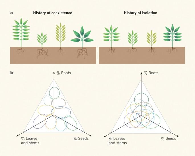 Finding Common Ground: Identifying Complementary Niches