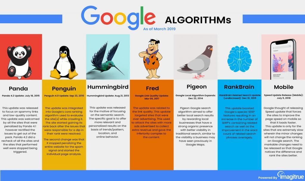 Navigating Algorithm Changes: Strategies for Sustained Visibility