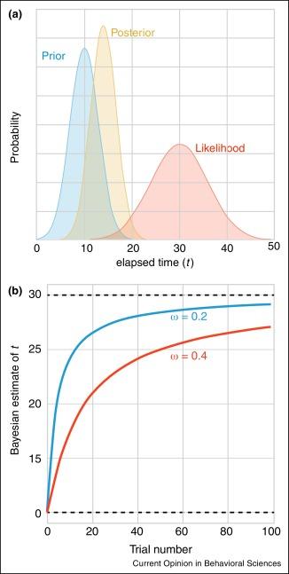 Optimal Timing: The Science of Briefs that Resonate