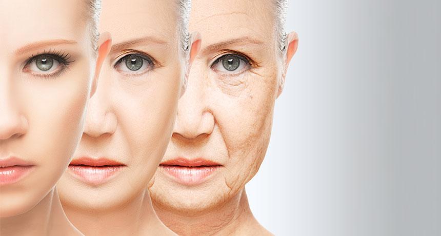 The Impact of Age,Gender,and Lifestyle on Consumer Behavior