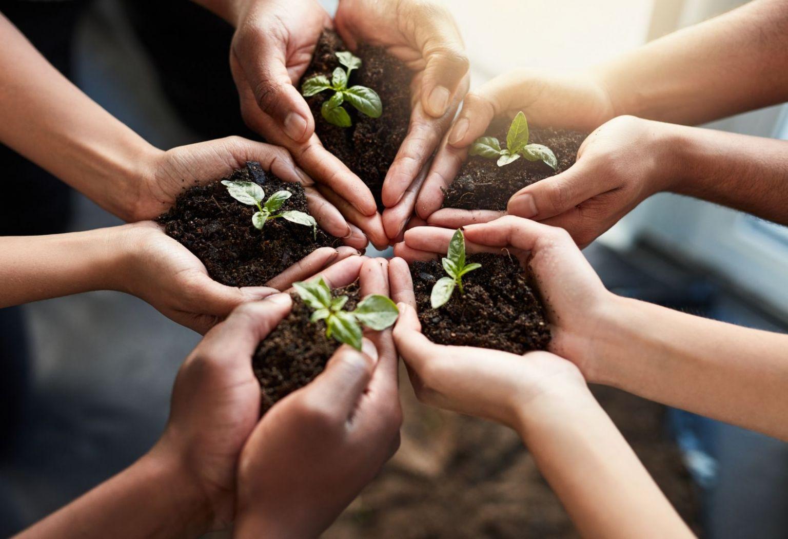 Strategies for Collaborating on Sustainable Initiatives