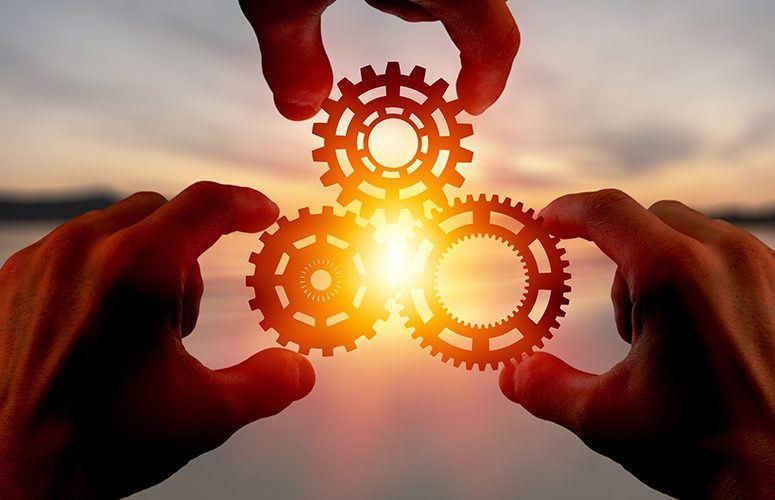 Creating Collaborative Opportunities for Mutual Growth
