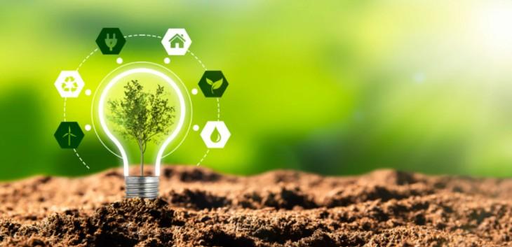 Navigating Challenges and Best Practices for Sustainable growth
