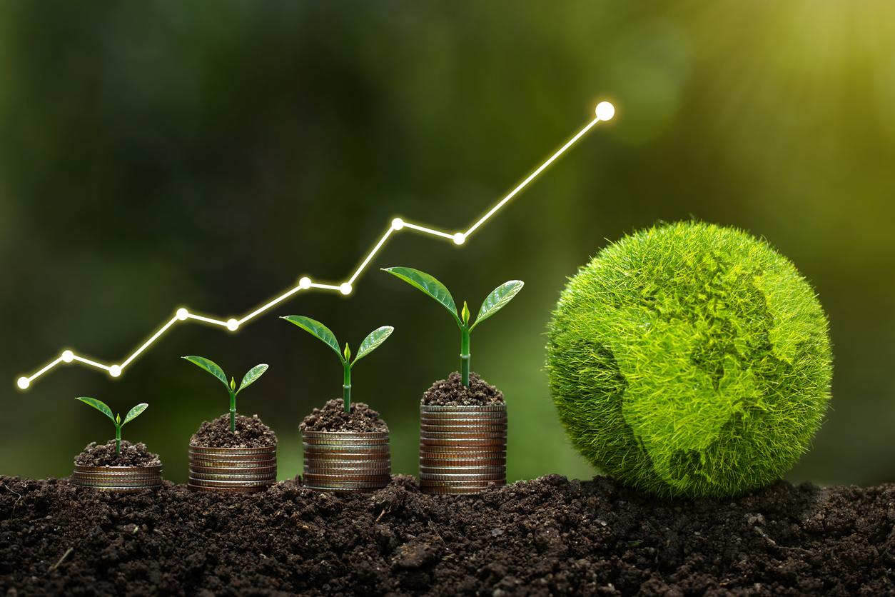 Navigating Trends and Competitor Analysis for Lasting Growth
