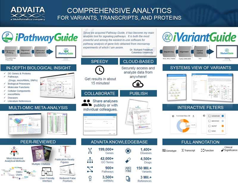 Measuring Success with Extensive Analytics