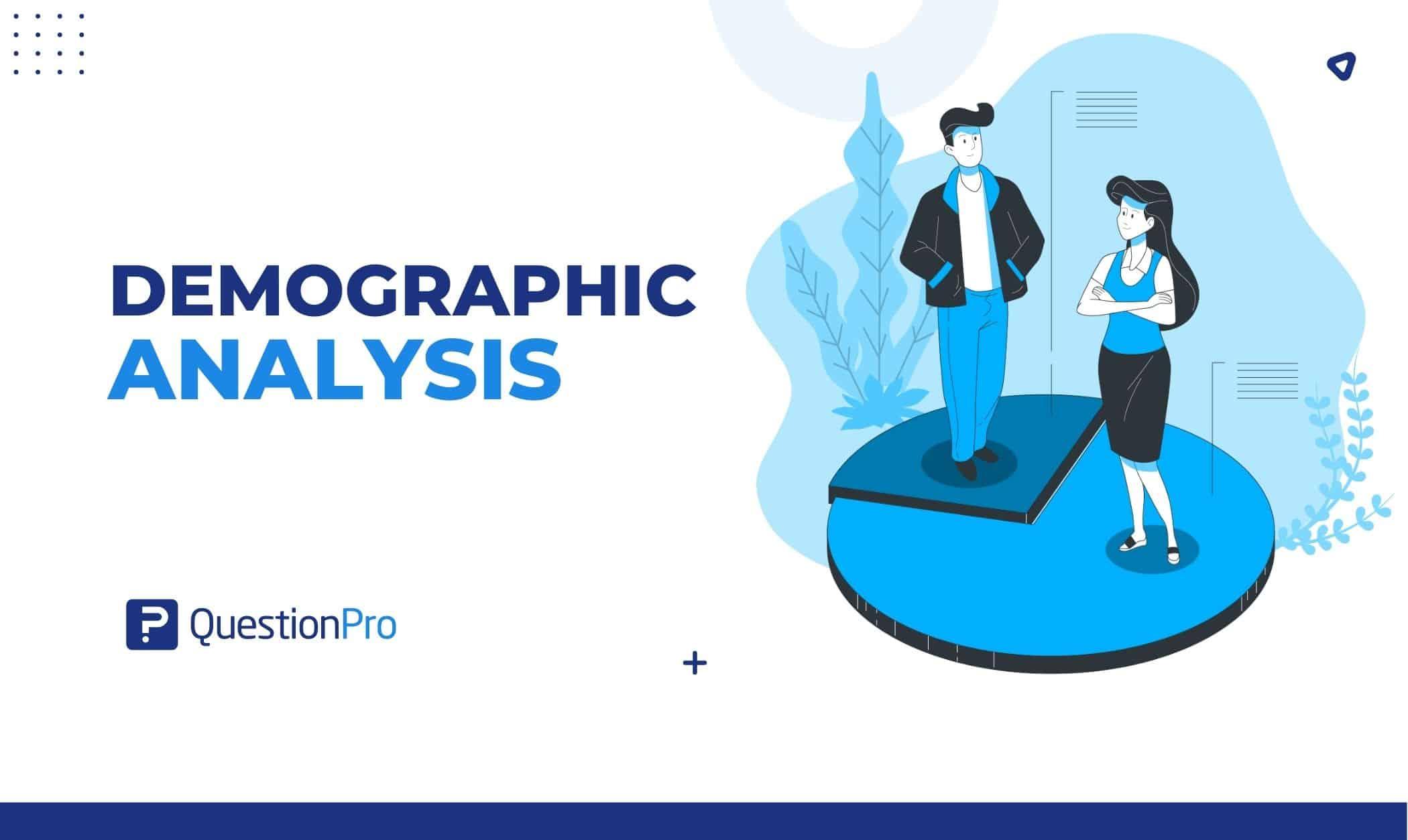 Measuring Success: Key Metrics for Demographic Analysis