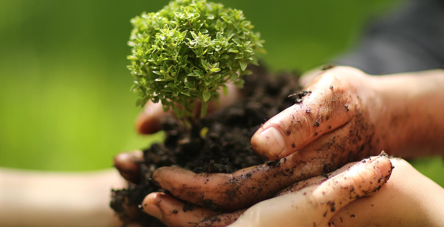 Strategies for Sustainable Collaborations in the Digital Realm