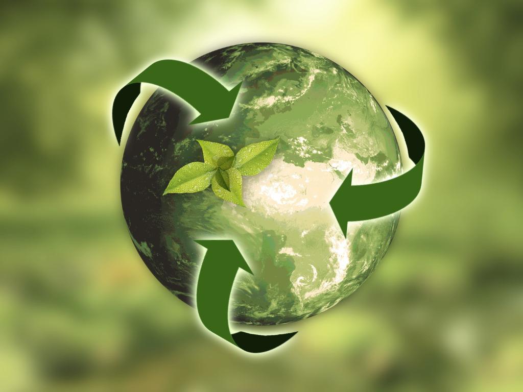 Sustainability and Social Impact: Aligning Brand Values with Influencer Messaging