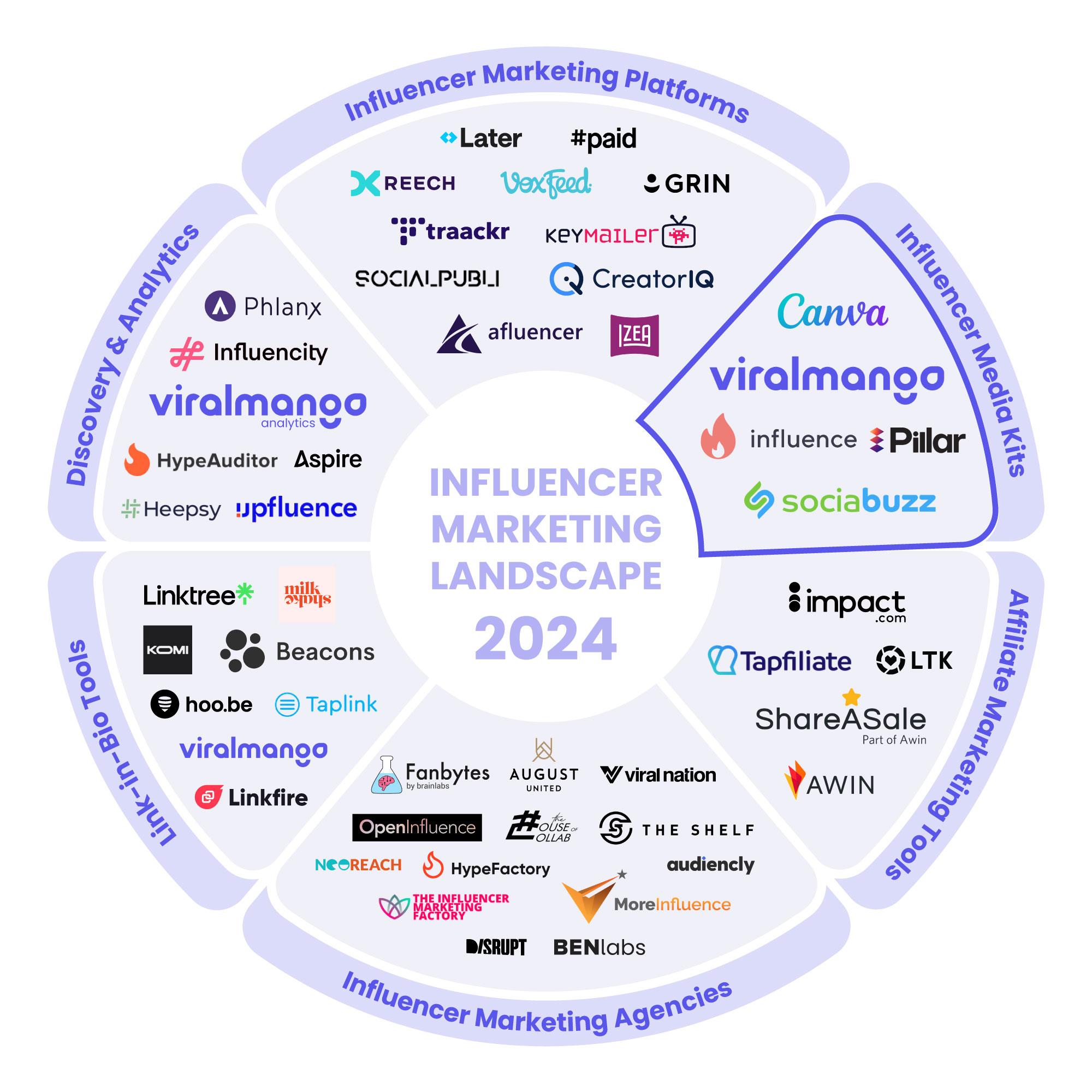 Understanding the Influencer Landscape and Its Unique Demands
