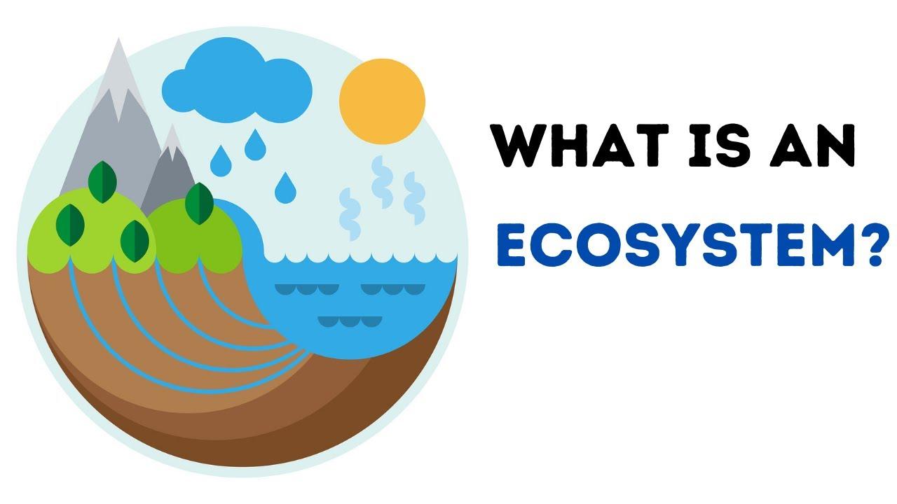 Understanding the YouTube Ecosystem ⁣and Audience Engagement Strategies