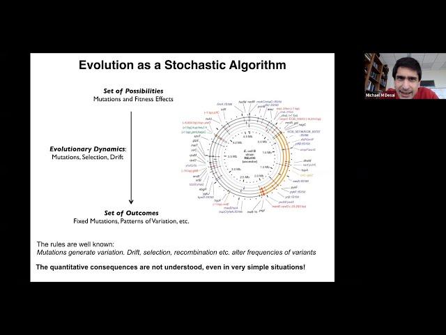 Algorithm Evolutions: Adapting Strategies for Organic Growth
