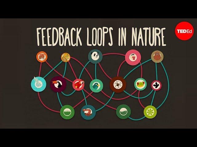 Implementing Feedback Loops to Enhance Message Impact