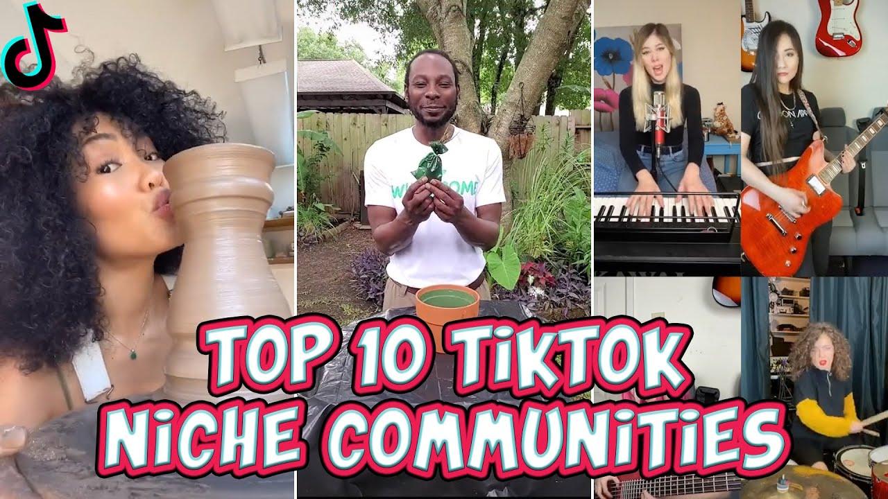 Exploring the Rise of Niche Communities in YouTube Influencer Culture