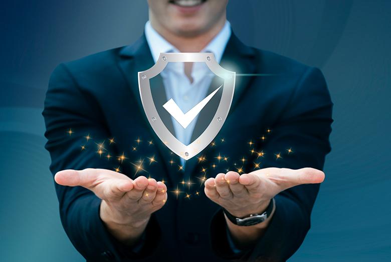 Protection and Responsibilities: Navigating Contracts and Intellectual Property Rights