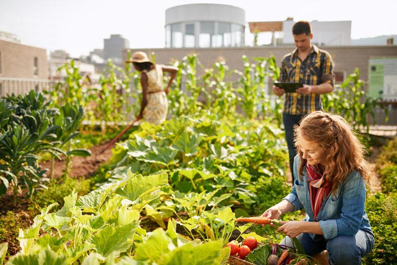 Building sustainable Communities: Fostering Genuine Engagement Beyond Views
