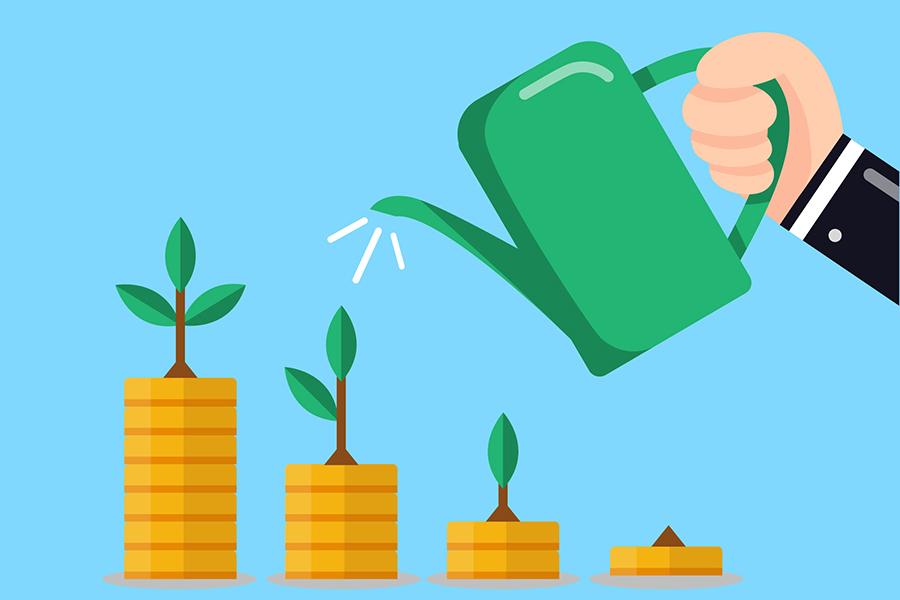 Strategies for Sustainable Growth and Diversified revenue Streams