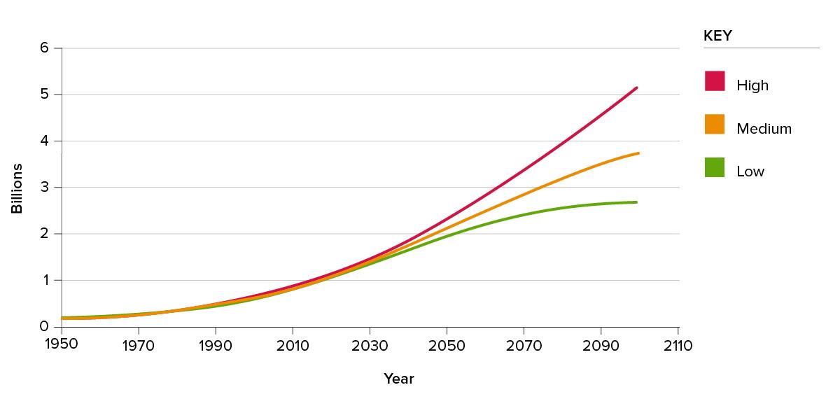 Decoding the Data: Key Demographic Trends Shaping Consumer Behavior
