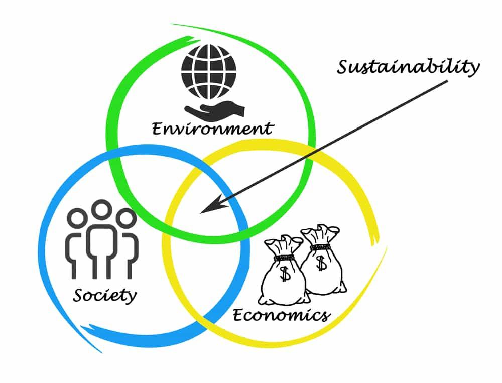 Strategies for Building Sustainable Communities on YouTube