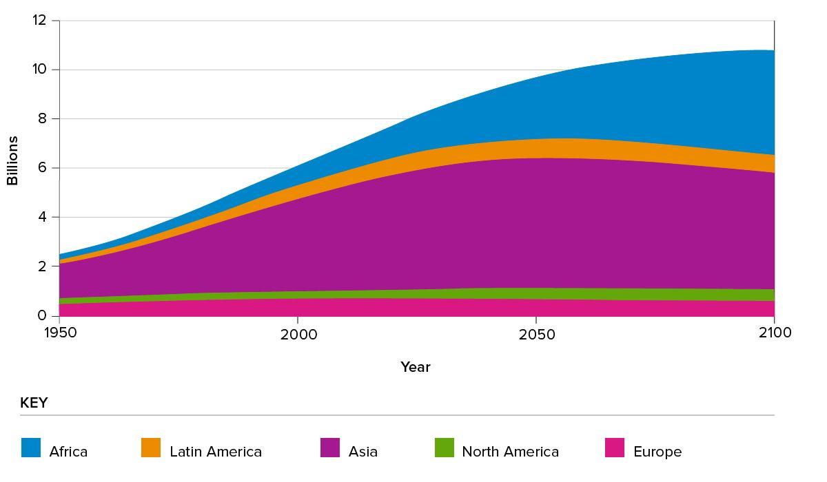 Analyzing Demographic Trends: Tailoring Content to Align with Audience Expectations