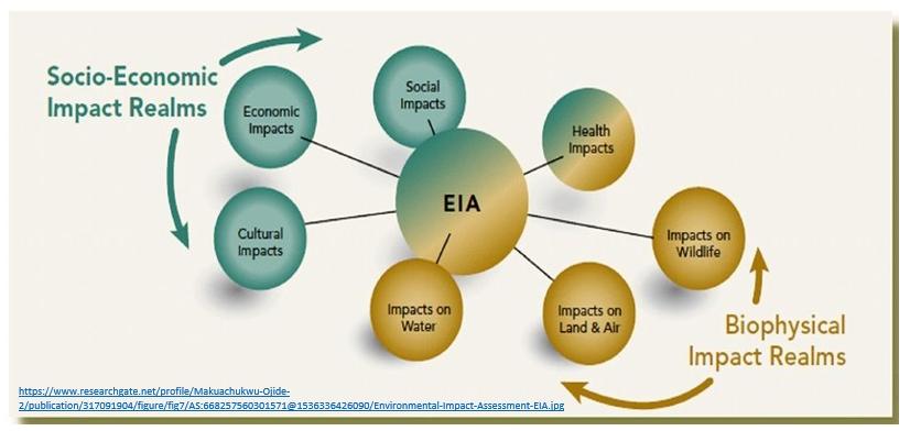 Measuring Effectiveness: Tools and Techniques for Impact Assessment