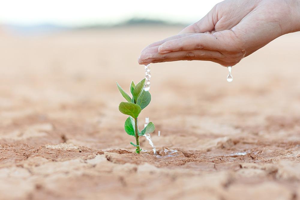 Nurturing Long-term Partnerships for Mutual Growth