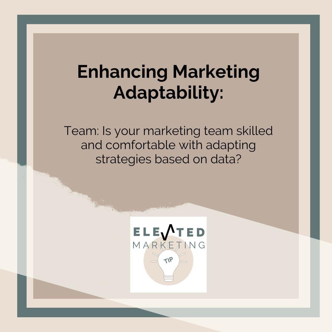 Adapting Strategies to Evolving Platform Policies and Features
