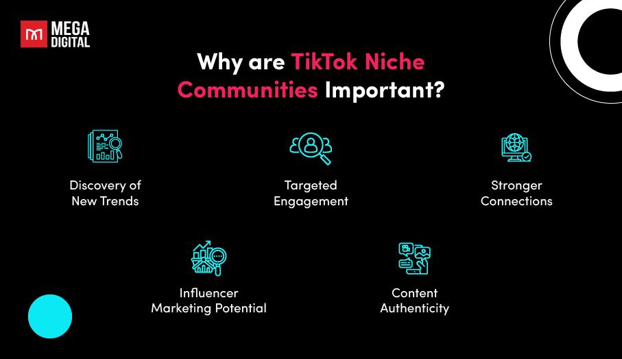 Niche Communities and Enduring Engagement: Targeting the Right audiences for Better Results