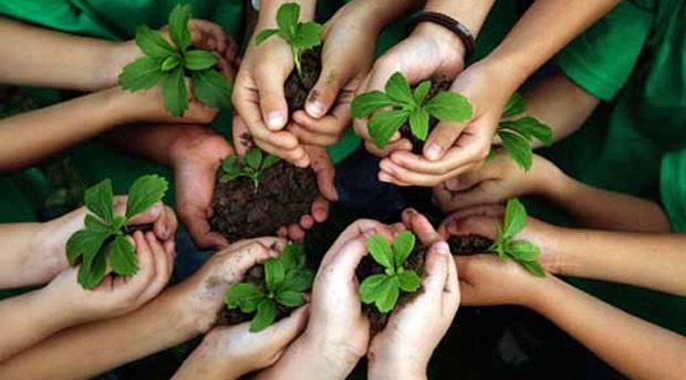 Leveraging Content for Environmental Awareness and Engagement