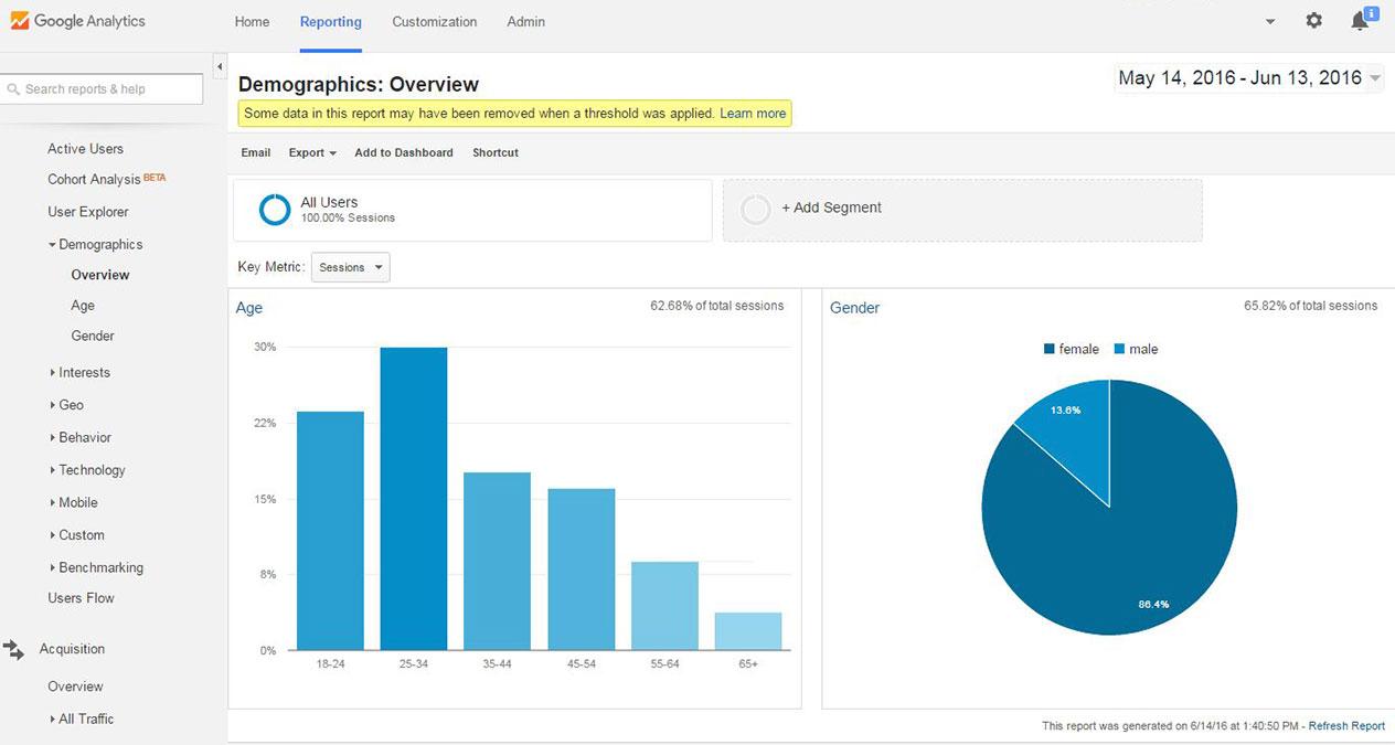 Measuring Success: Analytics that Matter for Demographic-Driven Campaigns
