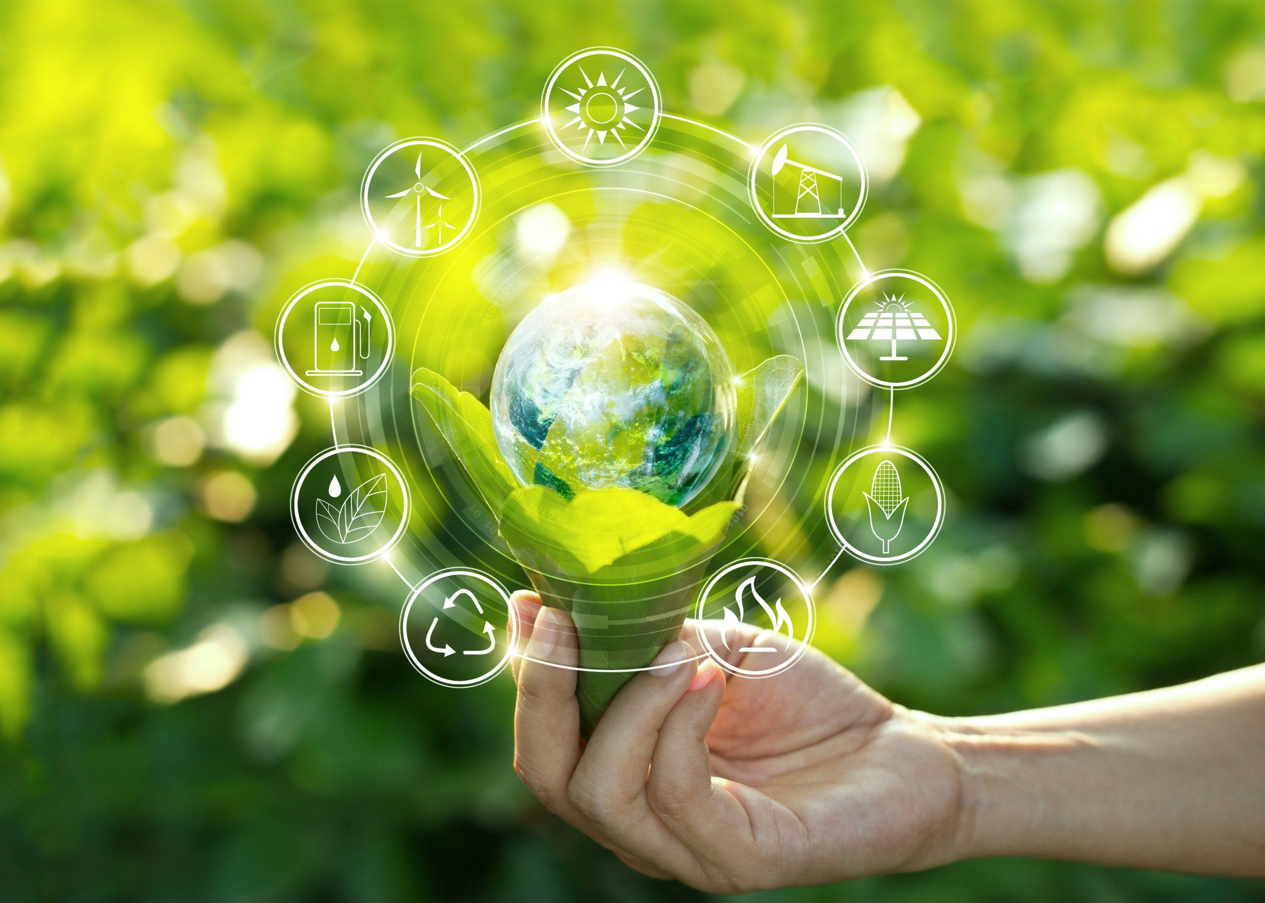 Sustainability and Social Obligation: Aligning Brands with Purposeful Messaging