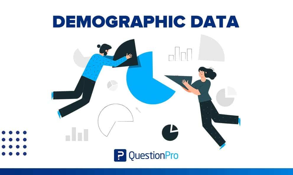measuring Impact: Analyzing Demographic Data for Continuous Advancement