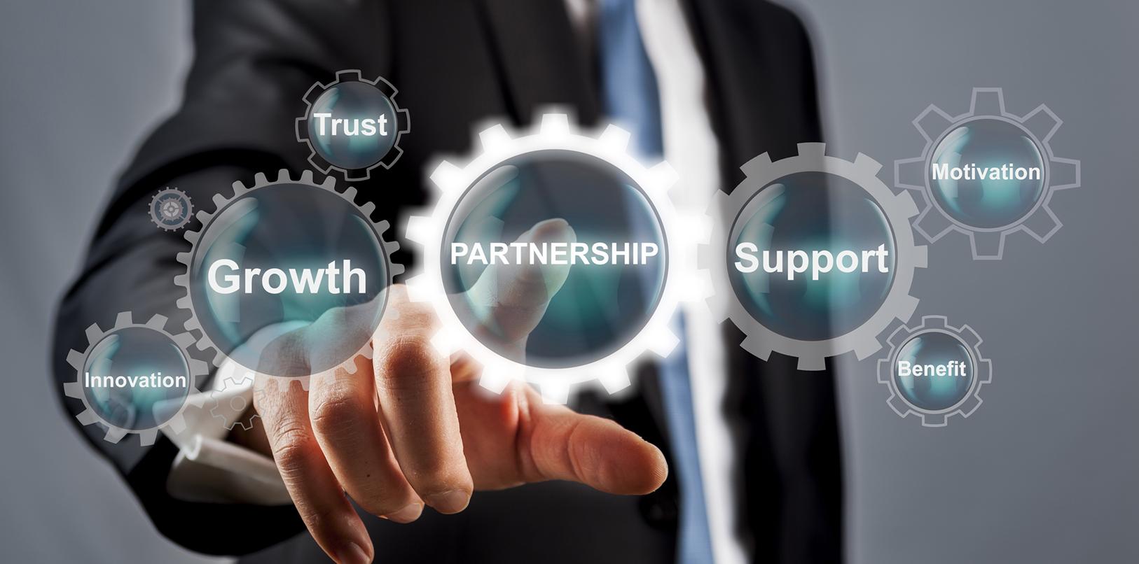 Strategies for Success: Best Practices in Partnership Selection and campaign Design