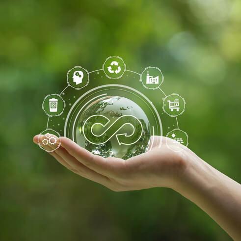 Lasting Practices and Social Responsibility as Key Trends
