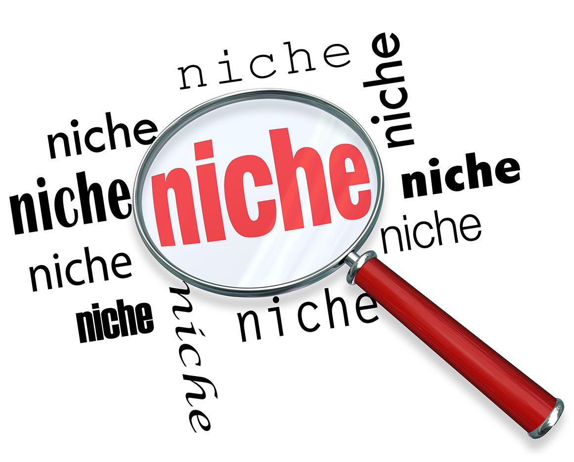 The Rise of Niche Content Creators and Thier Impact on Brand Partnerships