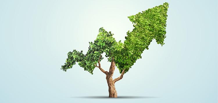 Strategies for Sustainable Growth in Influencer Marketing