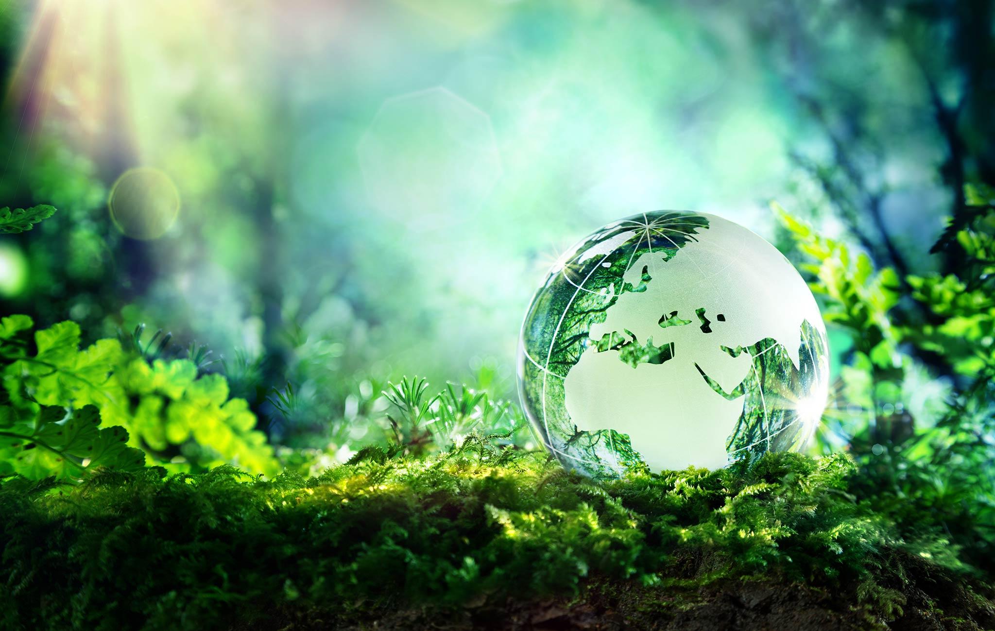 Sustainability in Craft: Creating with the Planet in Mind