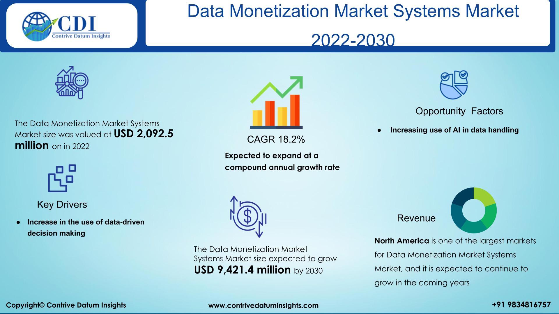 Monetization Insights: Navigating Revenue Streams through Analytics