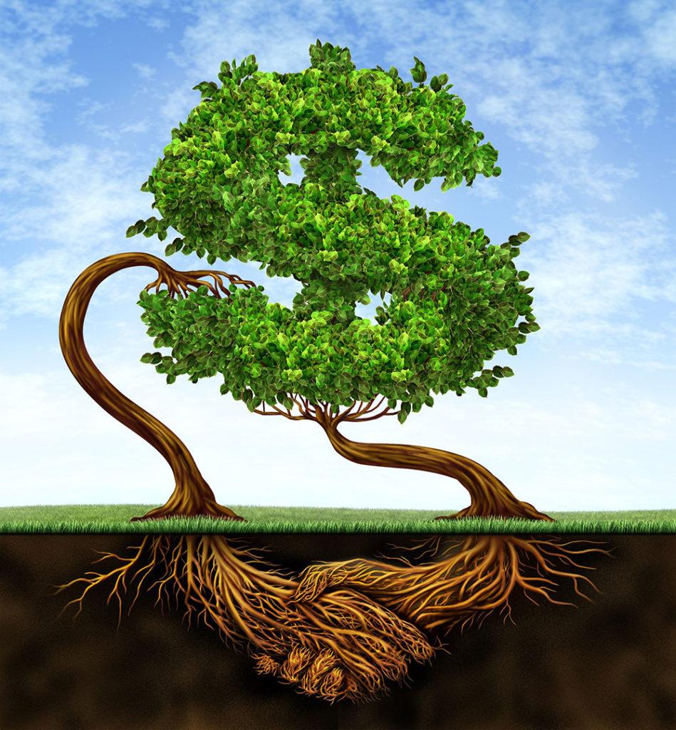 Navigating the Journey of Mutual Growth and Support