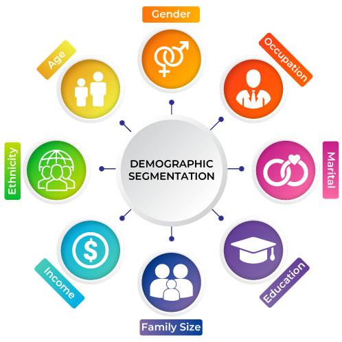 Identifying Key Demographic Segments for Targeted Messaging