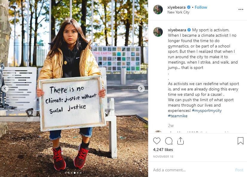 Measuring Impact: evaluating the Effectiveness of Influencer Activism