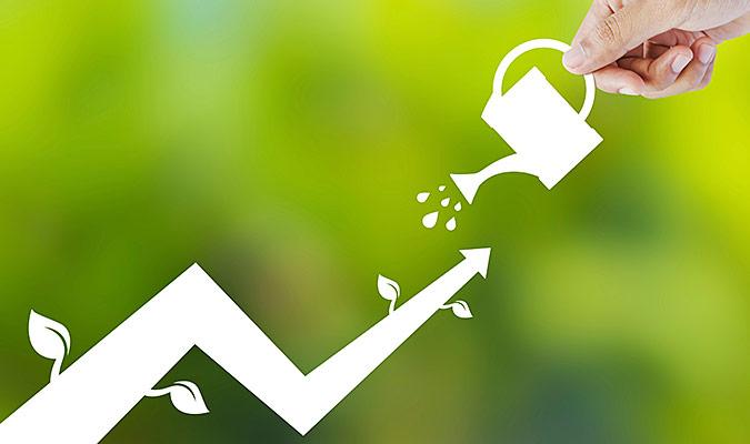 Crafting Win-win Partnerships for Lasting Growth