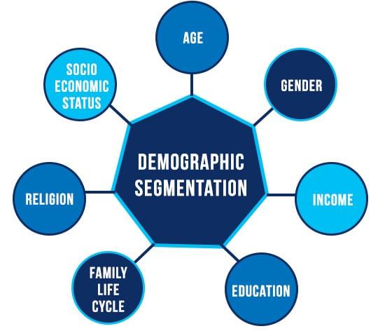 Decoding Behavior: how demographics Shape Content Engagement