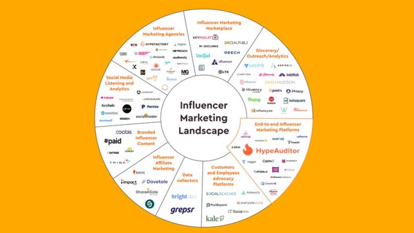Understanding the Influencer Landscape and its Potential Impact