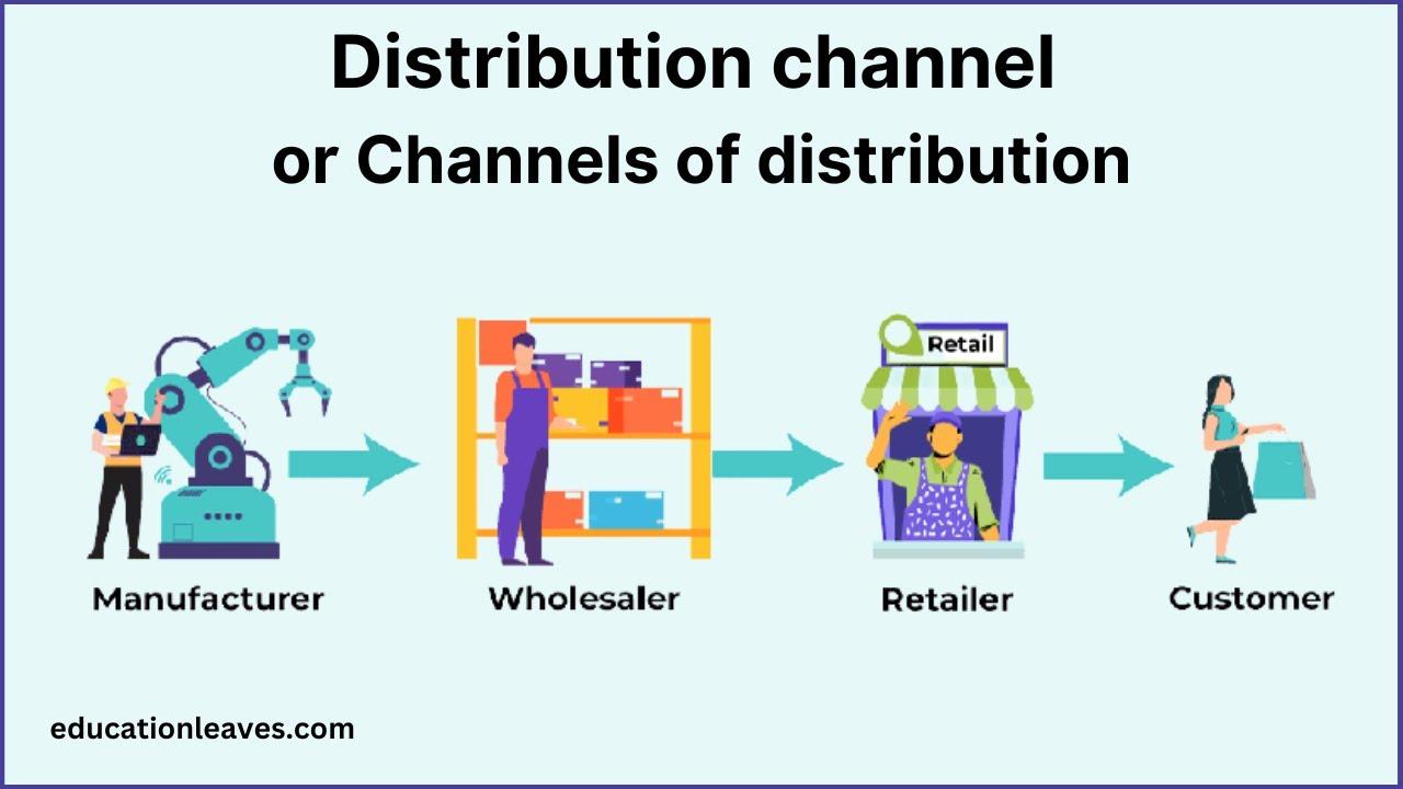Optimizing Distribution Channels for Maximum Reach and Visibility