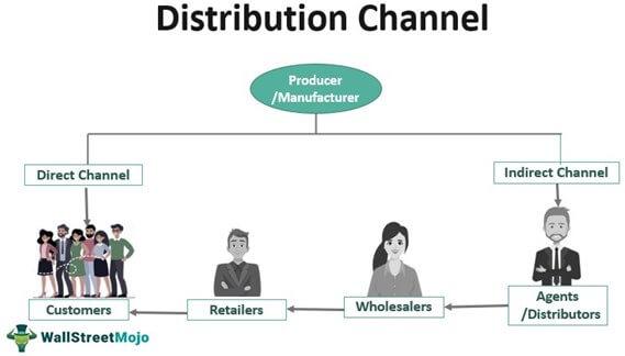 Optimizing Distribution Channels for Maximum Reach and Visibility