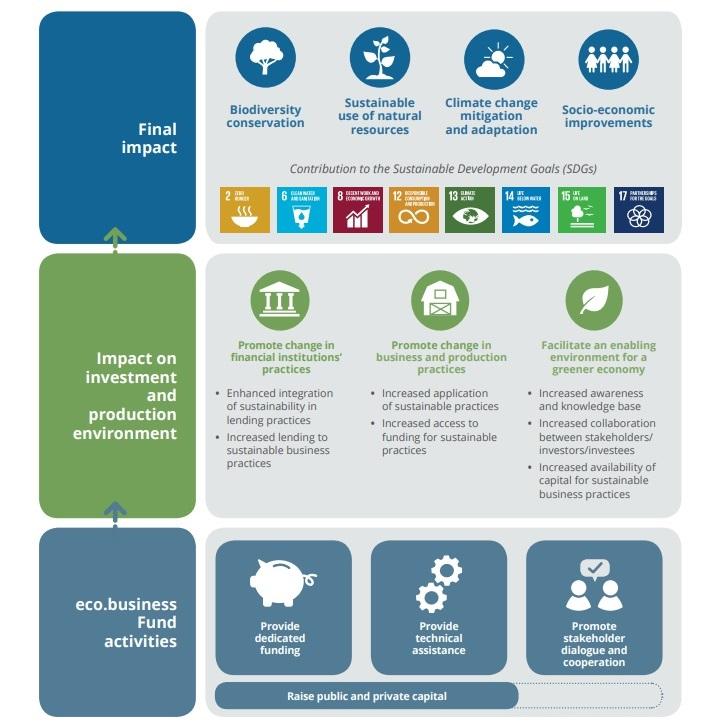Measuring Impact and Adapting Strategies for Growth
