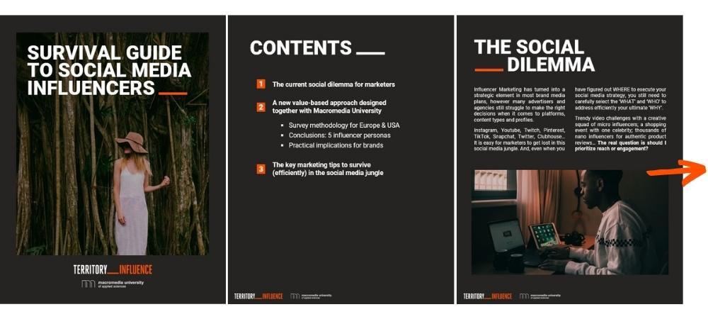 Understanding Influencer personas for Tailored Communication